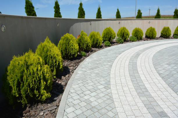 Professional Driveway Pavers in Suncoast Estates, FL